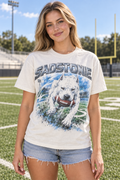 Football Pitbull Vintage Graphic T-Shirt