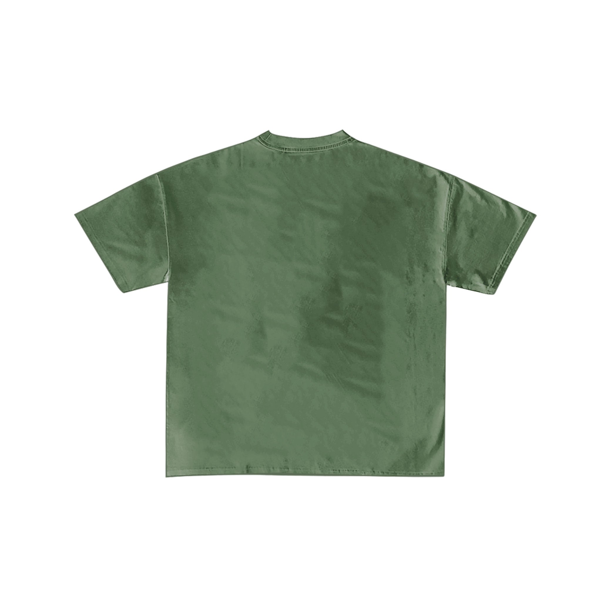Jesus Thinks I'm a Delight Frog Green T-Shirt