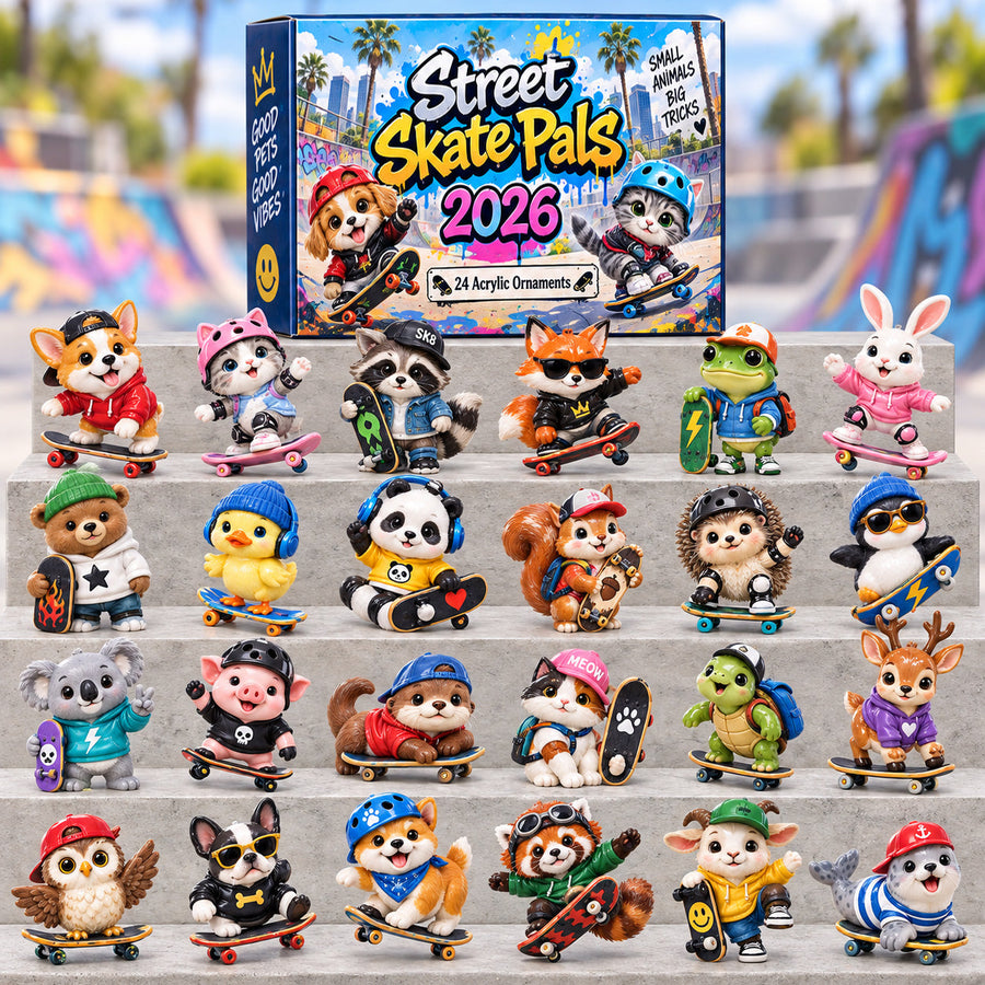 Skateboarding Animal Friends Advent Calendar 24 Day Gift